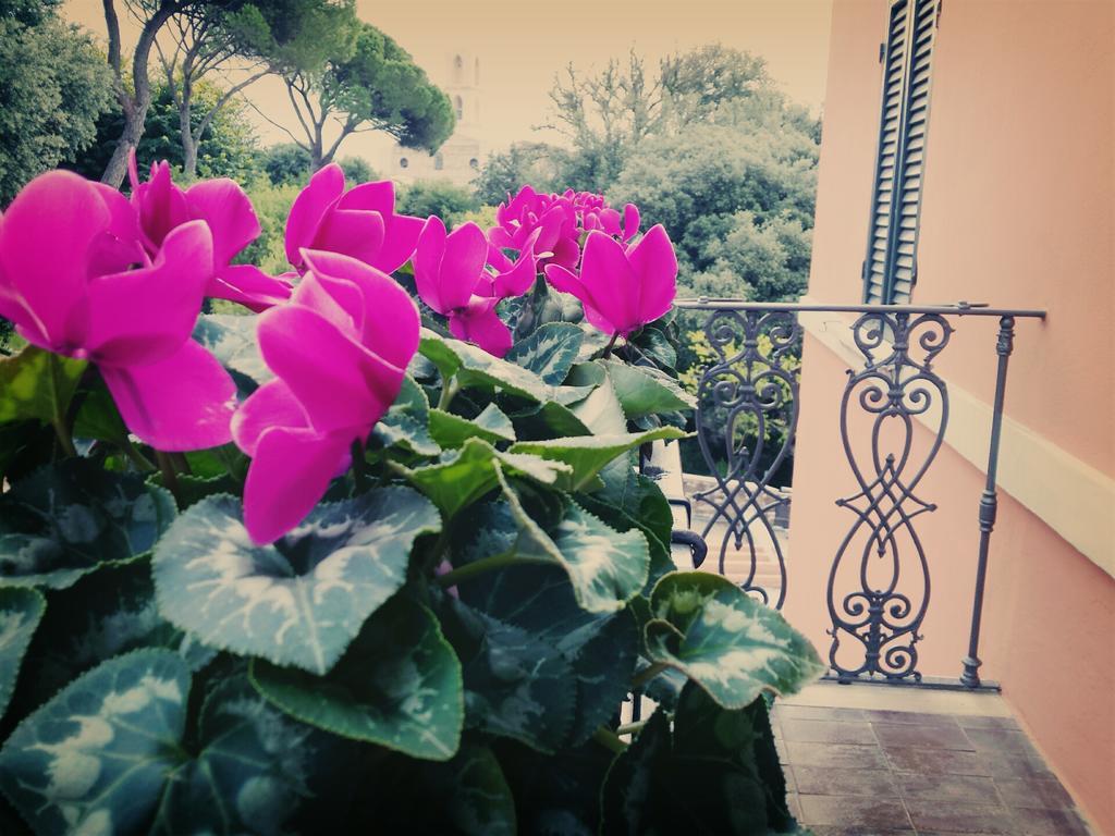 Hotel Rosalba Περούτζια Εξωτερικό φωτογραφία